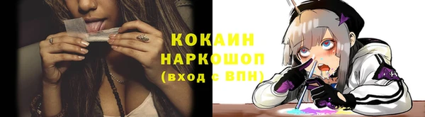 крисы Арсеньев