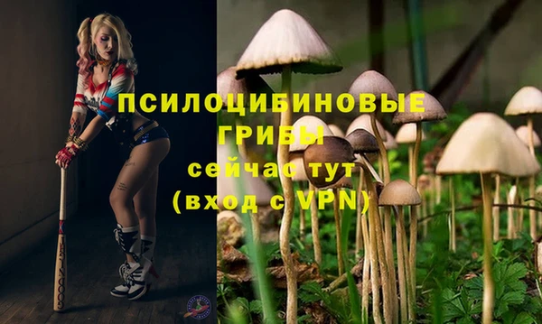 эйфоретик Аркадак