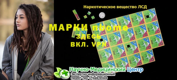 индика Приозерск